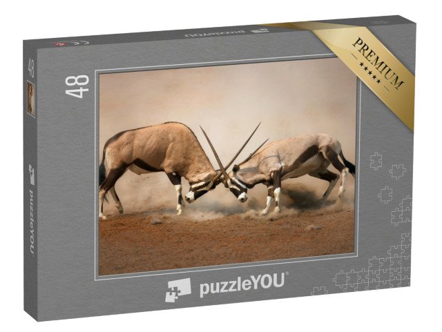 puzzle 48 dílků „Souboj dvou samců gemsboka“