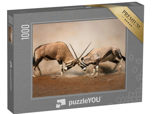 puzzle 1000 dílků „Souboj dvou samců gemsboka“