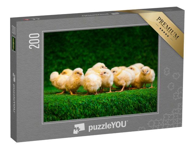puzzle 200 dílků „Spousta malých žlutých kuřátek“