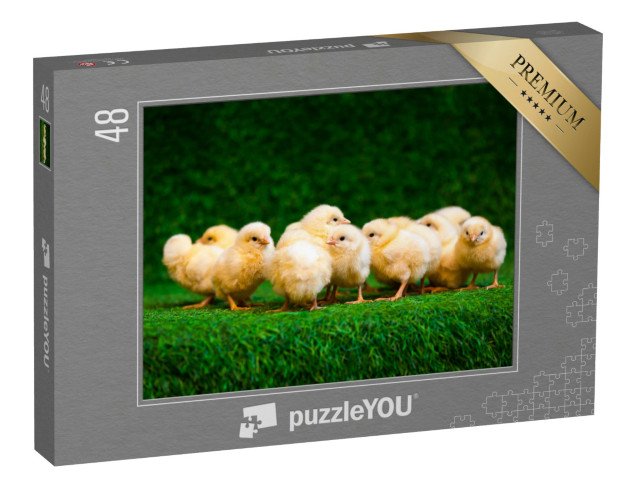 puzzle 48 dílků „Spousta malých žlutých kuřátek“