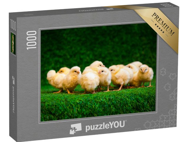 puzzle 1000 dílků „Spousta malých žlutých kuřátek“