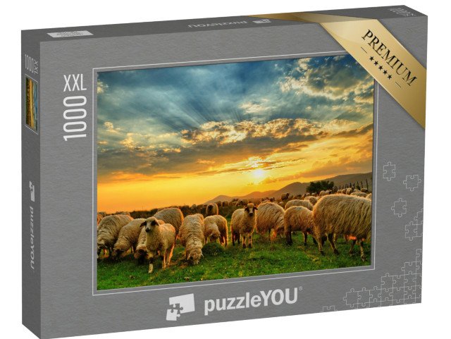 puzzle 1000 dílků XXL „Stádo ovcí při západu slunce“