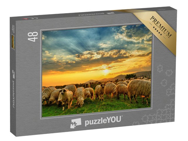 puzzle 48 dílků „Stádo ovcí při západu slunce“