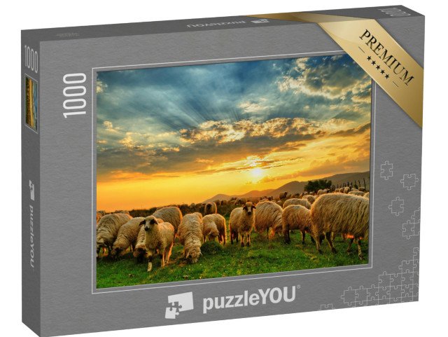 puzzle 1000 dílků „Stádo ovcí při západu slunce“
