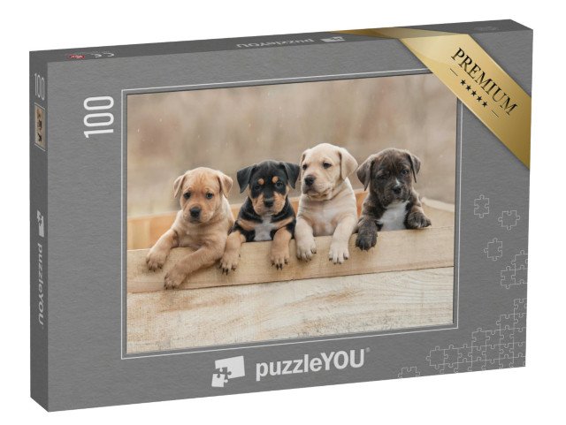 puzzle 100 dílků „Štěňata amerického stafordšírského teriéra v krabici“