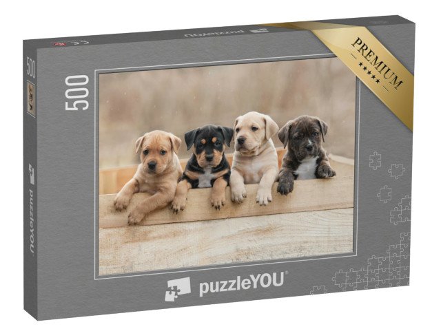 puzzle 500 dílků „Štěňata amerického stafordšírského teriéra v krabici“