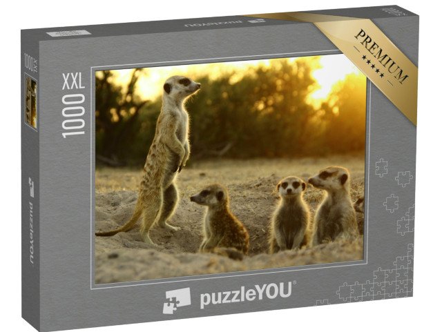 puzzle 1000 dílků XXL „Surikaty ve svém přirozeném prostředí“