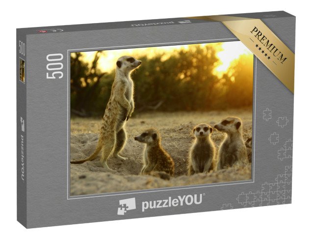 puzzle 500 dílků „Surikaty ve svém přirozeném prostředí“
