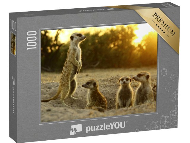 puzzle 1000 dílků „Surikaty ve svém přirozeném prostředí“