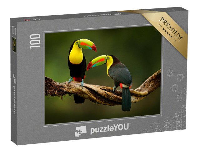 puzzle 100 dílků „Tukan sedící na větvi v lese, krásná vegetace Kostariky“