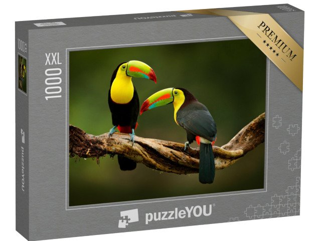 puzzle 1000 dílků XXL „Tukan sedící na větvi v lese, krásná vegetace Kostariky“