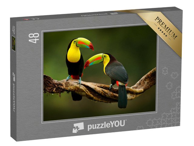 puzzle 48 dílků „Tukan sedící na větvi v lese, krásná vegetace Kostariky“