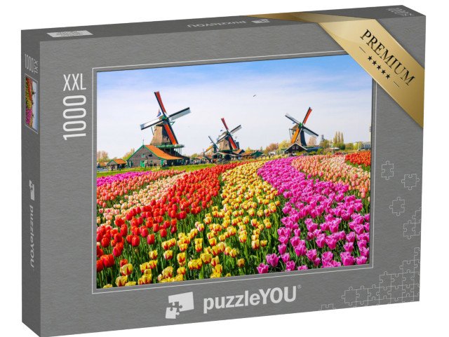 puzzle 1000 dílků XXL „Tulipány a větrné mlýny v Zaanse Schans, Nizozemsko“