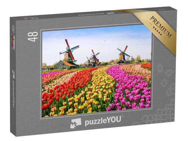 puzzle 48 dílků „Tulipány a větrné mlýny v Zaanse Schans, Nizozemsko“