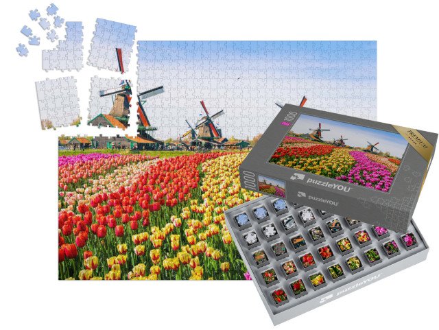 SMART SORTED® | Puzzle 1000 dílků „Tulipány a větrné mlýny v Zaanse Schans, Nizozemsko“