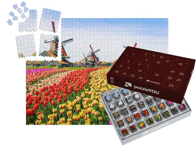 Adventní kalendář „Tulipány a větrné mlýny v Zaanse Schans, Nizozemsko“