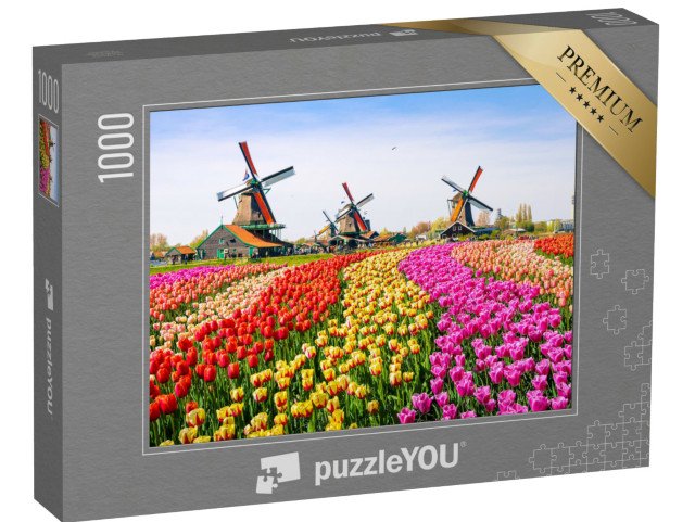 puzzle „Tulipány a větrné mlýny v Zaanse Schans, Nizozemsko“