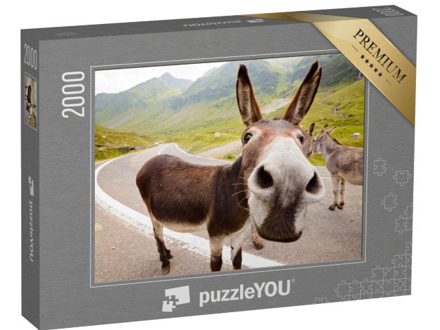 puzzle 2000 dílků „Vtipný osel v rumunských horách“