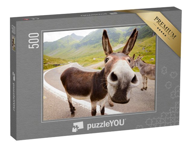 puzzle 500 dílků „Vtipný osel v rumunských horách“