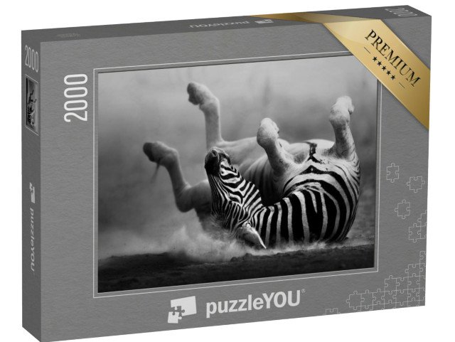 puzzle 2000 dílků „Zebra se válí v prachu“