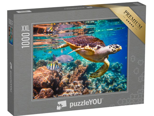 puzzle 1000 dílků XXL „Želva ostřížovec v korálovém útesu“