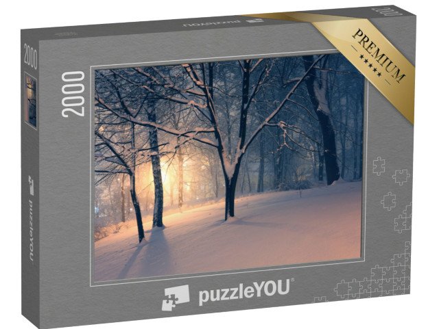 puzzle 2000 dílků „Zimní večer v parku“