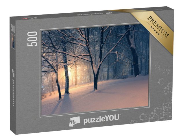 puzzle 500 dílků „Zimní večer v parku“