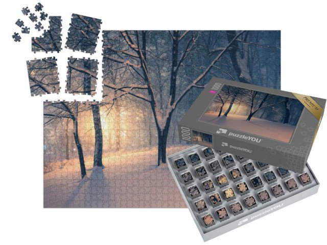 SMART SORTED® | Puzzle 1000 dílků „Zimní večer v parku“
