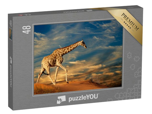 puzzle 48 dílků „Žirafa na písečné duně v Jižní Africe“