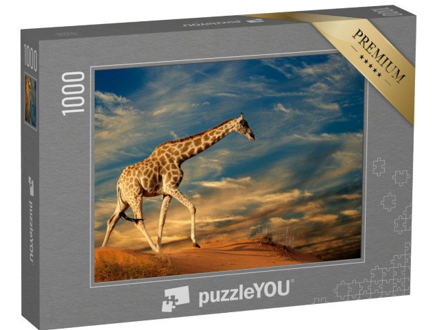 puzzle 1000 dílků „Žirafa na písečné duně v Jižní Africe“