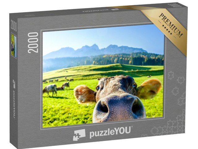 puzzle 2000 dílků „Zvědavá kráva“