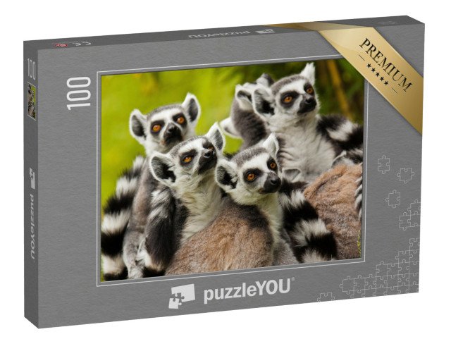 puzzle 100 dílků „Zvědaví lemuři kroužkovaní“