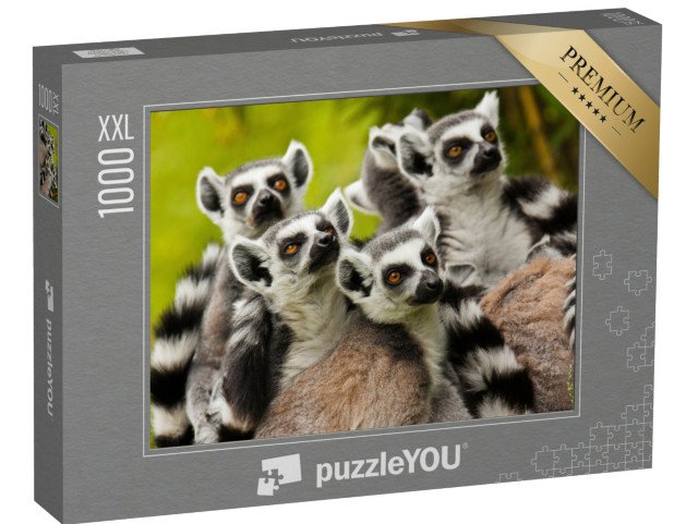 puzzle 1000 dílků XXL „Zvědaví lemuři kroužkovaní“