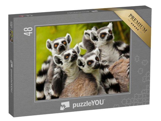 puzzle 48 dílků „Zvědaví lemuři kroužkovaní“