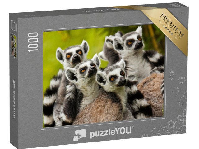 puzzle 1000 dílků „Zvědaví lemuři kroužkovaní“