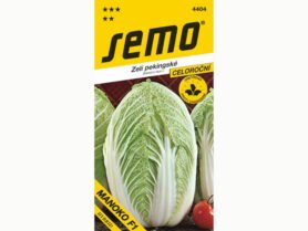 AgroBio Pekingské zelí MANOKO F1 40 semen