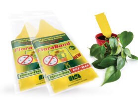 AgroBio PM Lepové šipky žluté FloraBand 5 ks