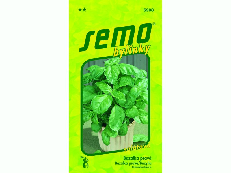AgroBio Bazalka LETTUCE LEAF