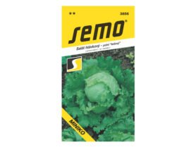 AgroBio Salát hlávkový Miniko 0,4 g