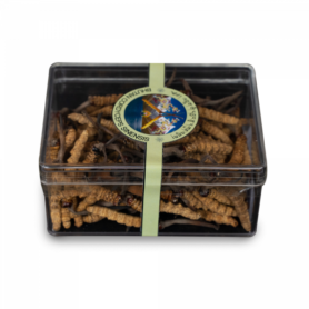 Bhutan/Special Divoký Cordyceps (Pravý - Sinensis) -5g (Bhután) CORDYCEPS: Jakost A+