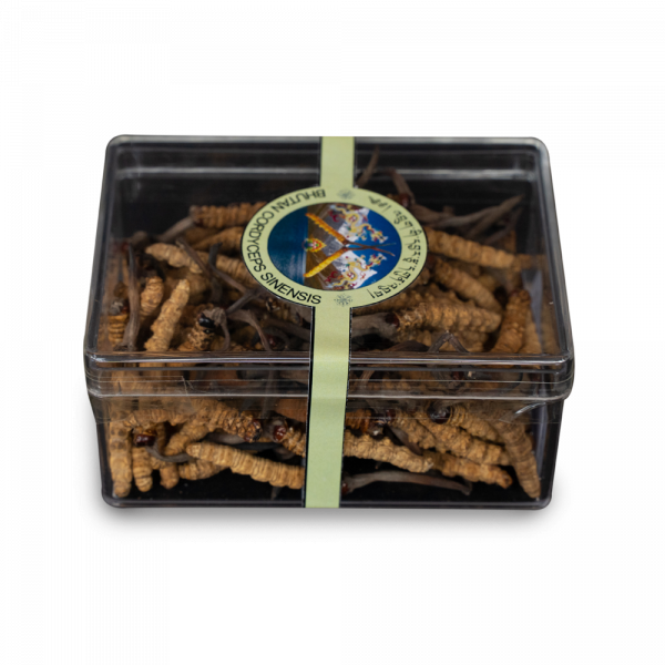Bhutan/Special Divoký Cordyceps (Pravý - Sinensis) -5g (Bhután) CORDYCEPS: Jakost A+