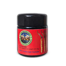 Bhutan/Special Divoký Cordyceps Sinensis (Bhután) -30 kapslí