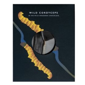 CHOCOLATE NAIVE WILD CORDYCEPS 90% CHOCOLATE -50g (NAIVE)