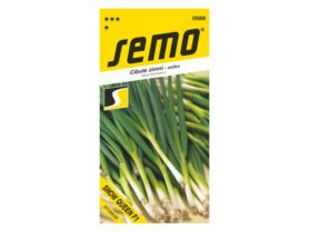 AgroBio Cibule zimní celoroční sečka Snow queen F1  1,5 g