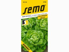 AgroBio Salát BREMEX 0,4 g
