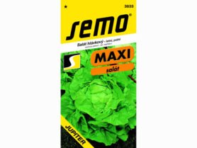 AgroBio Salát JUPITER 0,3 g
