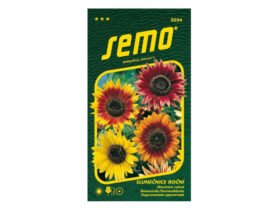 AgroBio Slunečnice roční Autumn Beauty 2 g