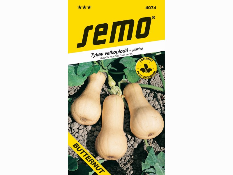 AgroBio Tykev BUTTERNUT 2 g