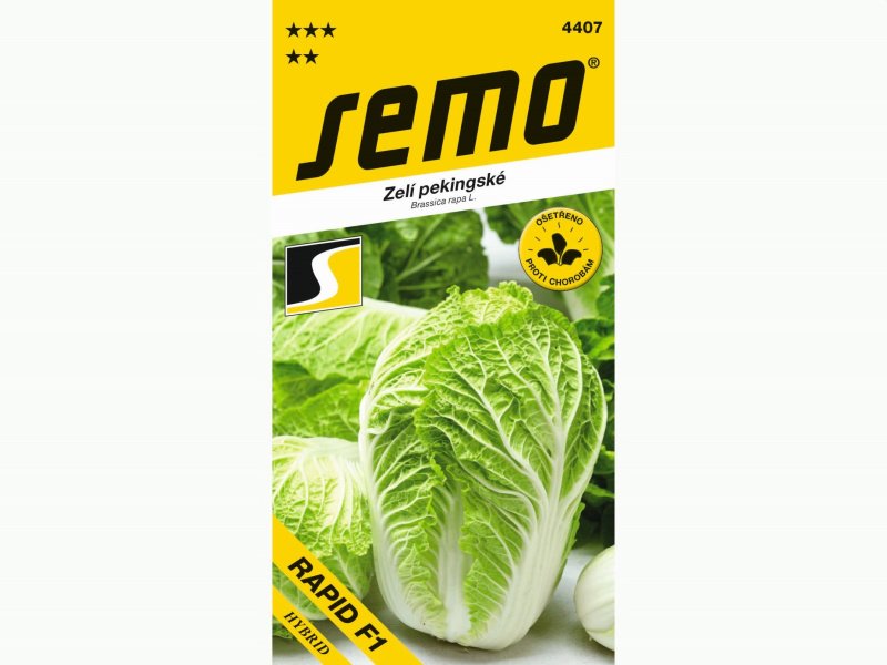 AgroBio Pekingské zelí RAPID F1
