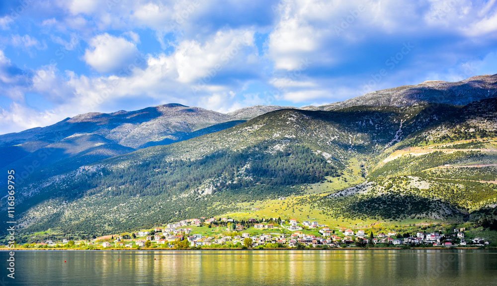PAPIGIOTIKO BIO Borovicový med z lesů od jezera Ioannina (Epirus) 720g - Obrázek 3